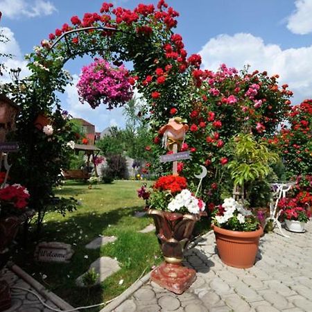 Pensiunea Sofia Тимишоара Экстерьер фото